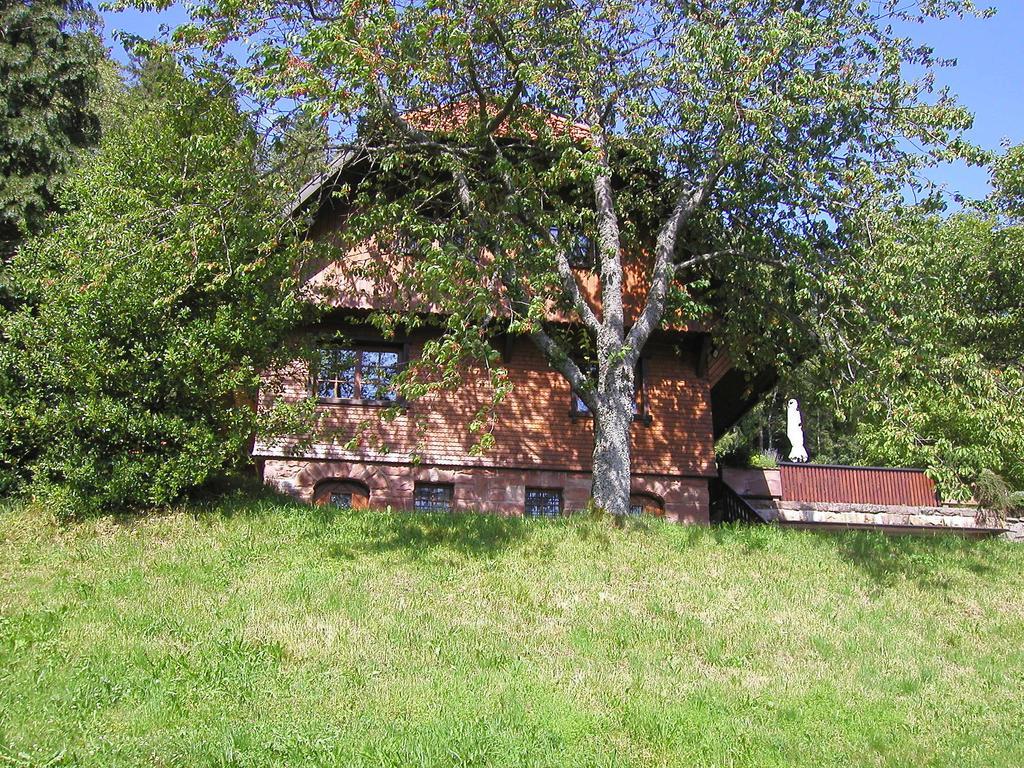 Schmalzerhisli Apartment Oberwolfach Exterior photo
