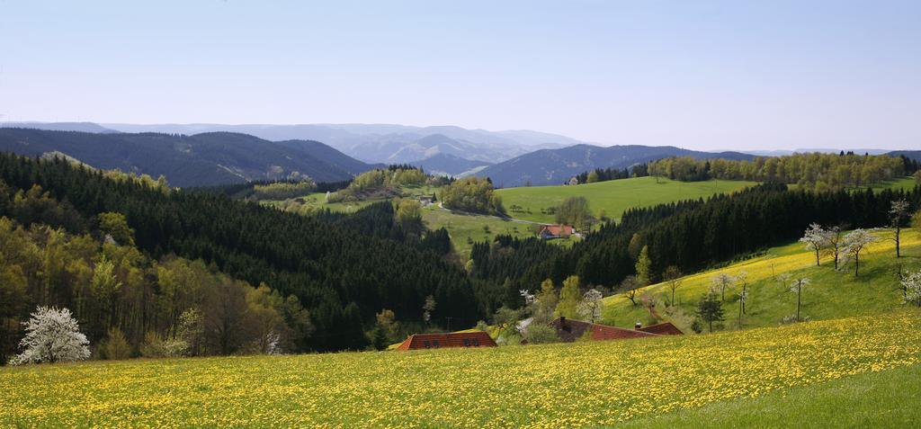 Schmalzerhisli Apartment Oberwolfach Exterior photo